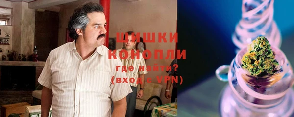 прущие грибы Осинники