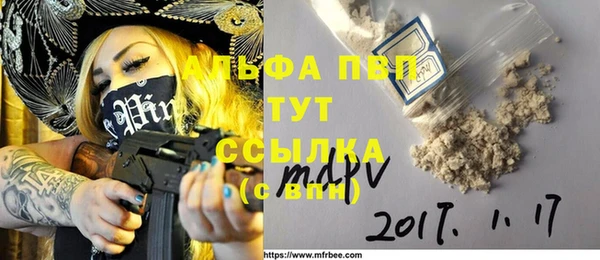 прущие грибы Осинники