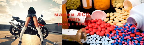 крисы Аркадак